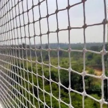 Bird netting installation work