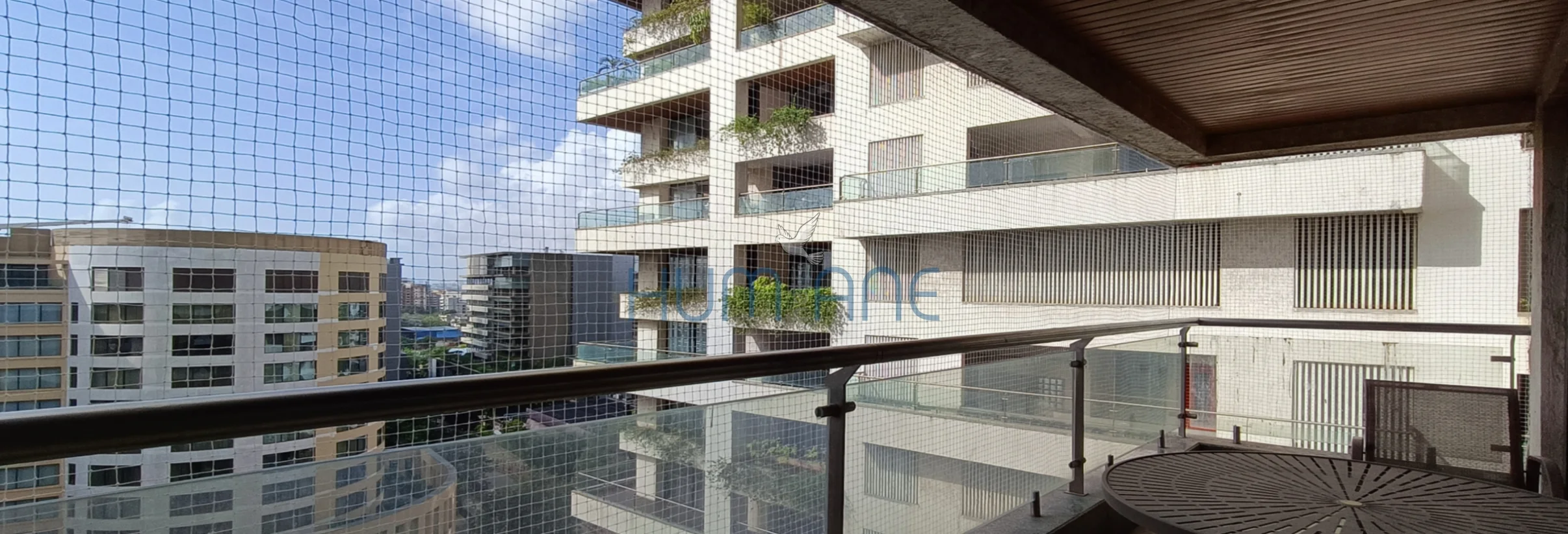 Bird netting installation service in Delhi NCR